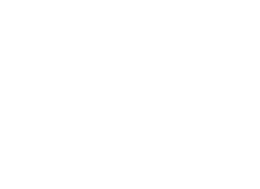 IT.RENADMADI